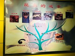 -上海昆虫博物馆