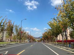 -南京老山国家森林公园