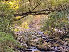 -广州市石门国家森林公园