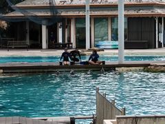 -新加坡水上探险乐园