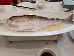 -西湖春天•老字号杭州菜(百汇店)