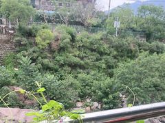 -崂山水果园农家宴(泉水鸡店)