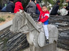 -上海佘山国家森林公园西佘山园