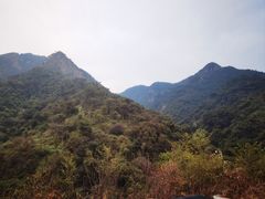 -南丹山森林王国