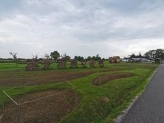 -嘉北郊野公园