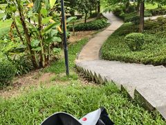 -中山市树木园