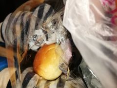 -欣奇西点蛋糕(宜欣店)