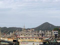 -新楚记