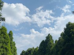 -捞渔河湿地公园