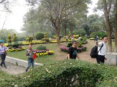 -洪湖生态旅游区