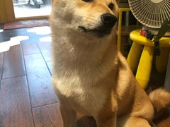 -About Bistro關於·泰式家庭料理