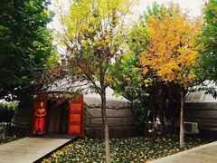 -九十九顶毡房(阜石路店)