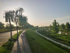 -洨河生态公园