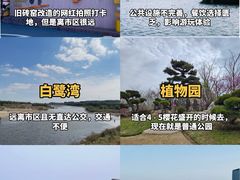 -日照灯塔风景区