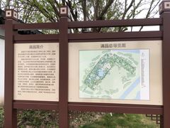 -上海滨江森林公园