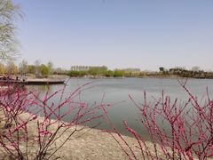 -东郊湿地公园