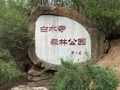 -白水寺森林公园