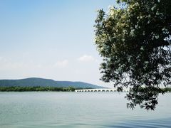 -尚湖风景区