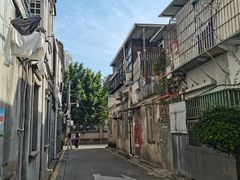 -溪岸路花鸟市场