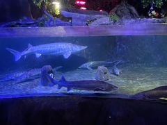 -左海海底世界