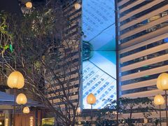 -桂满陇·海市蜃楼·黑金(国金店)