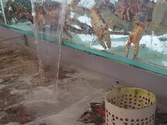 -山海经·海边人家 海鲜新青岛菜(扬州路店)