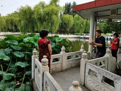 -丰台花园