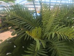 -海底捞火锅(旭辉MALL店)