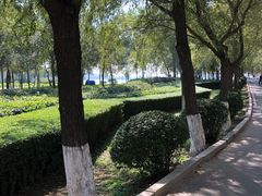 -丁香湖公园