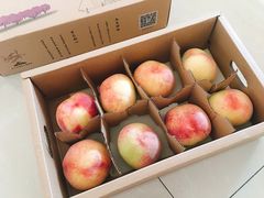 -田园东方蜜桃村的田野营地