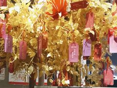-茉沏(山塘街店)