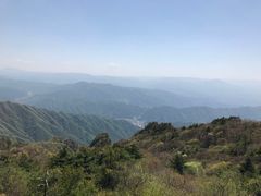 -王顺山国家森林公园