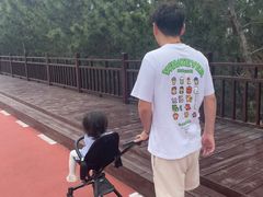 -日照海滨国家森林公园