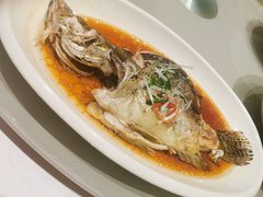 -红城阁·上海味道(四平路店)