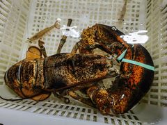 -霞涌市场海鲜摆卖区