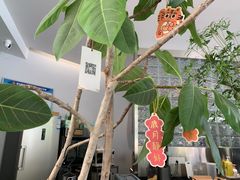 -爱樂咖啡(青年体育公园店)