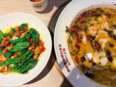 -新渝城·川菜·火锅(区庄店)