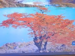 -巢爷老味(东方红店)