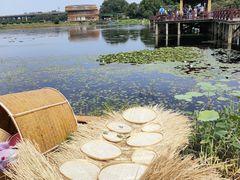 -荷塘月色湿地公园·向阳花洲