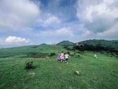 -大姆山草场