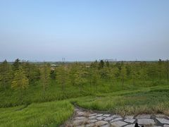 -南汇嘴观海公园