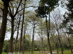 -天河儿童公园