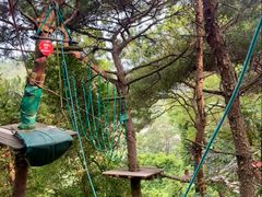 -清迈丛林飞跃 JungleFlight