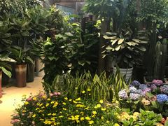 -双季花艺园艺市场(浦东店)