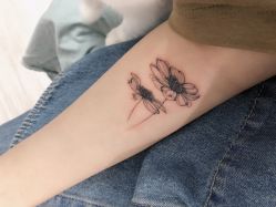 -明星刺青·洗纹身