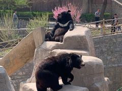 -石家庄市动物园