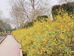 -安徽八里河旅游区