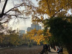 -四川大学(华西校区)