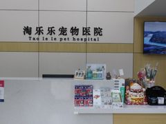 -凯瑞希宠物医院·狂犬免疫·微创·皮肤科