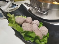 -陈记顺和牛肉火锅馆(天河北路店)